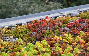 the cost of Eardington green roof installation