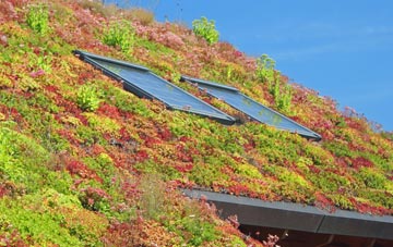 Eardington living roof systems